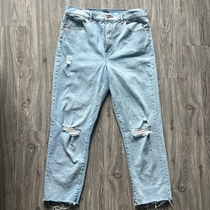 Size 10 Express Mom Jean Super High Rise